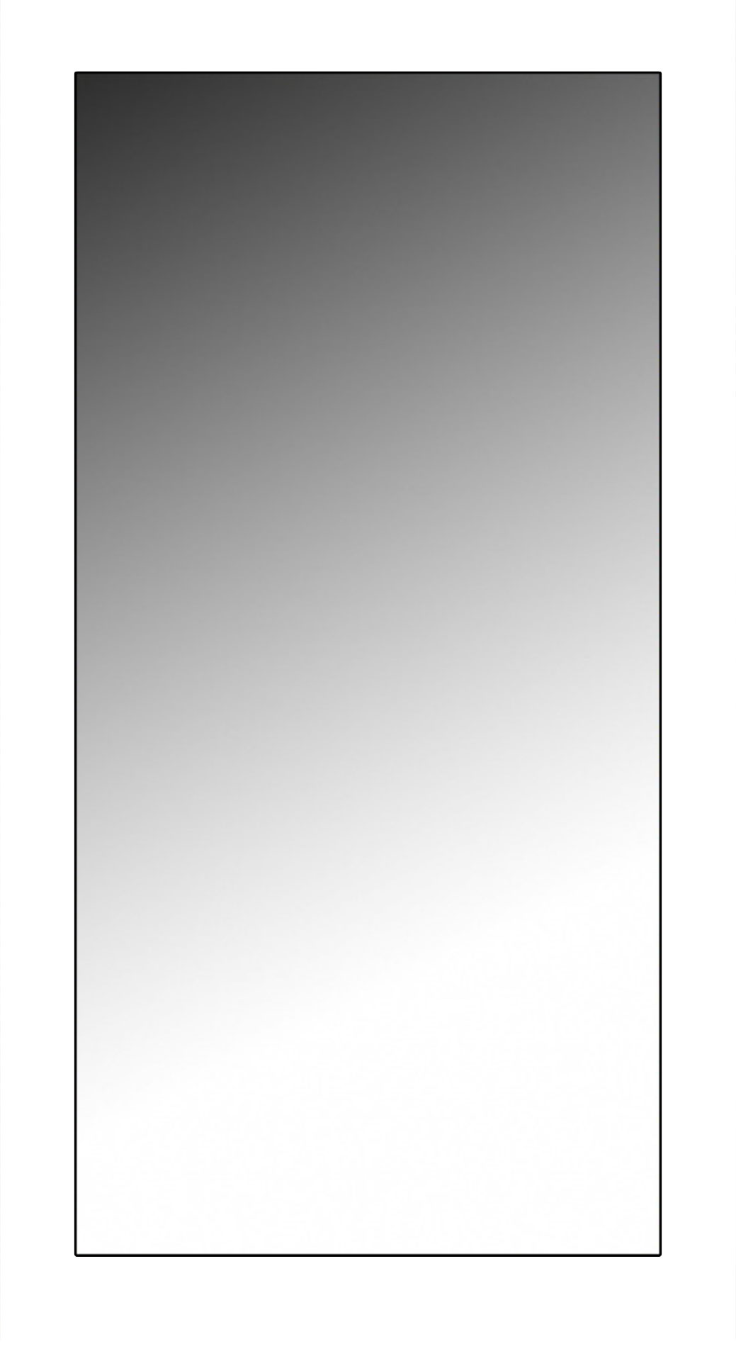 ЗР-1011